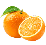 Symbol Pomarančovník čínsky